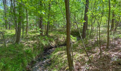 Photo #9 of Tyler Road, Crewe, VA 10.0 acres