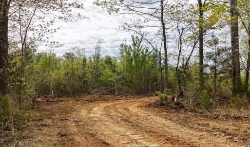 Photo #10 of Cutbanks Road, Pamplin, VA 75.0 acres