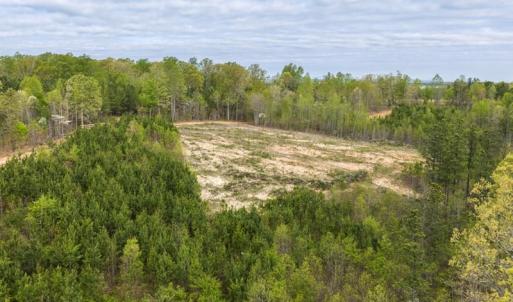 Photo #11 of Cutbanks Road, Pamplin, VA 75.0 acres