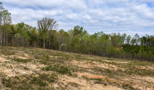 Photo #12 of Cutbanks Road, Pamplin, VA 75.0 acres