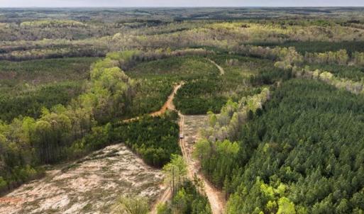 Photo #13 of Cutbanks Road, Pamplin, VA 75.0 acres