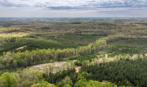 Photo #14 of Cutbanks Road, Pamplin, VA 75.0 acres