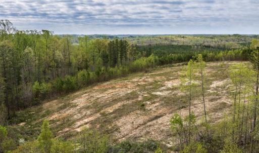 Photo #16 of Cutbanks Road, Pamplin, VA 75.0 acres