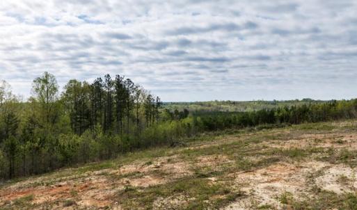 Photo #18 of Cutbanks Road, Pamplin, VA 75.0 acres