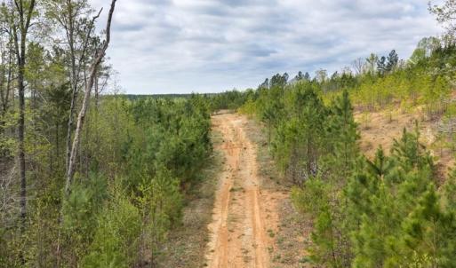 Photo #20 of Cutbanks Road, Pamplin, VA 75.0 acres