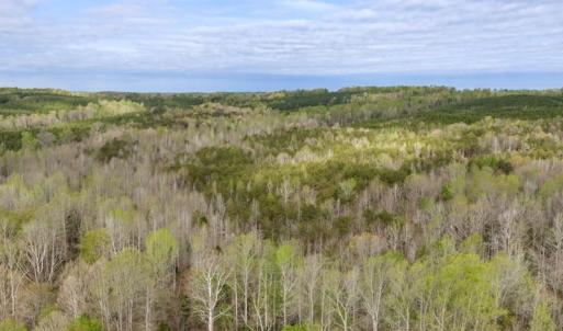 Photo #22 of Cutbanks Road, Pamplin, VA 75.0 acres