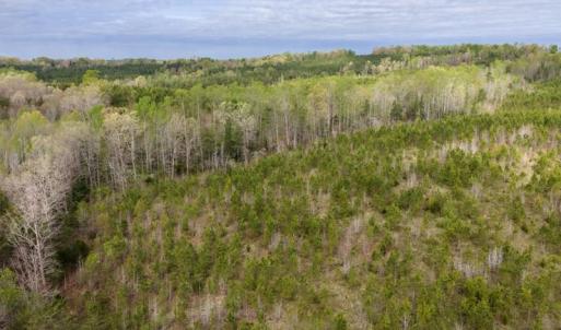 Photo #23 of Cutbanks Road, Pamplin, VA 75.0 acres