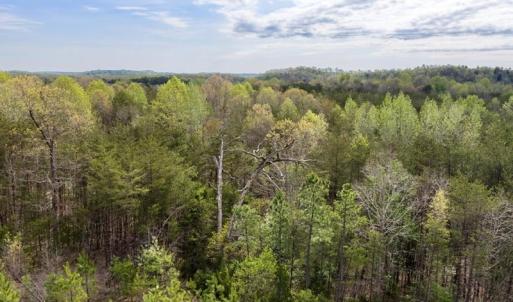 Photo #24 of Cutbanks Road, Pamplin, VA 75.0 acres