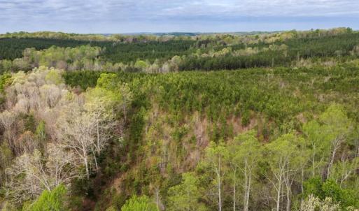 Photo #25 of Cutbanks Road, Pamplin, VA 75.0 acres