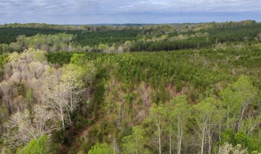 Photo #26 of Cutbanks Road, Pamplin, VA 75.0 acres