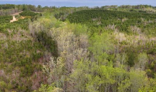 Photo #27 of Cutbanks Road, Pamplin, VA 75.0 acres