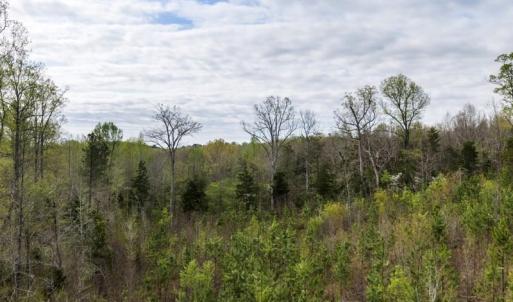 Photo #28 of Cutbanks Road, Pamplin, VA 75.0 acres