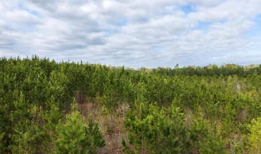 Photo #29 of Cutbanks Road, Pamplin, VA 75.0 acres