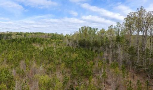 Photo #30 of Cutbanks Road, Pamplin, VA 75.0 acres