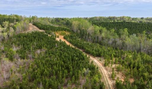 Photo #31 of Cutbanks Road, Pamplin, VA 75.0 acres