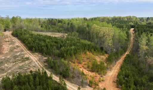 Photo #32 of Cutbanks Road, Pamplin, VA 75.0 acres