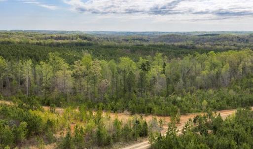 Photo #33 of Cutbanks Road, Pamplin, VA 75.0 acres