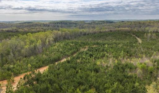 Photo #34 of Cutbanks Road, Pamplin, VA 75.0 acres