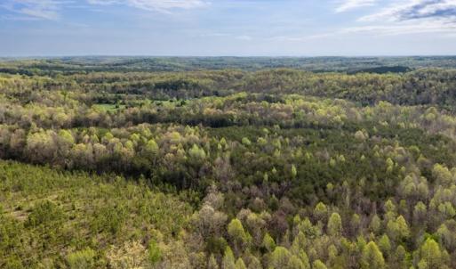 Photo #36 of Cutbanks Road, Pamplin, VA 75.0 acres