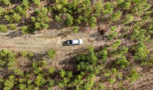 Photo #37 of Cutbanks Road, Pamplin, VA 75.0 acres