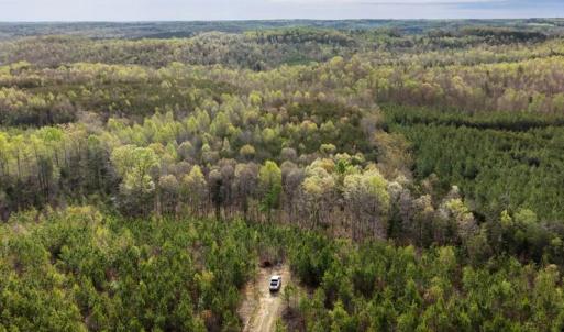 Photo #38 of Cutbanks Road, Pamplin, VA 75.0 acres