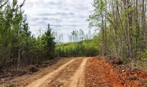 Photo #4 of Cutbanks Road, Pamplin, VA 75.0 acres