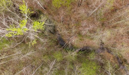 Photo #40 of Cutbanks Road, Pamplin, VA 75.0 acres