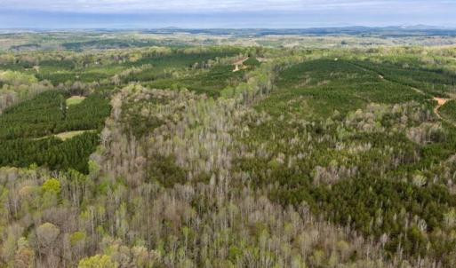 Photo #41 of Cutbanks Road, Pamplin, VA 75.0 acres