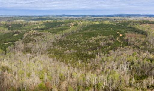 Photo #42 of Cutbanks Road, Pamplin, VA 75.0 acres