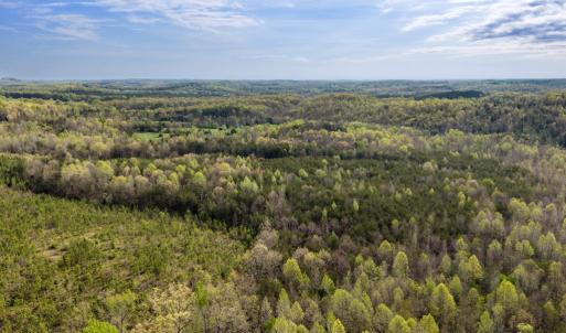 Photo #43 of Cutbanks Road, Pamplin, VA 75.0 acres