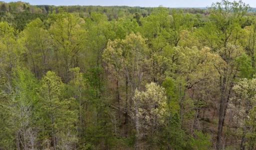 Photo #5 of Cutbanks Road, Pamplin, VA 75.0 acres
