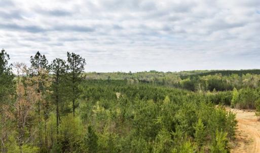 Photo #7 of Cutbanks Road, Pamplin, VA 75.0 acres