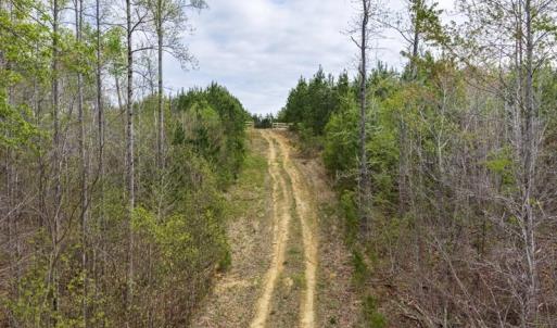 Photo #8 of Cutbanks Road, Pamplin, VA 75.0 acres