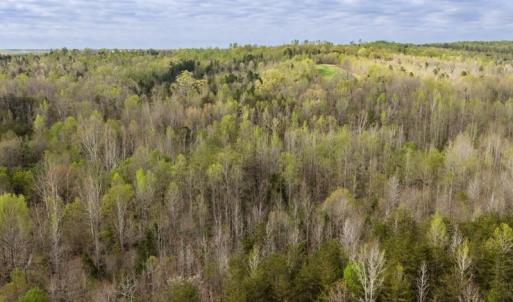 Photo #9 of Cutbanks Road, Pamplin, VA 75.0 acres