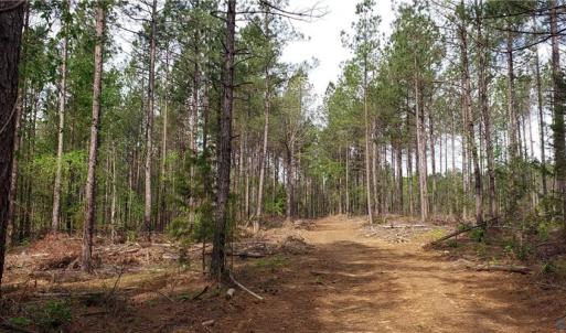 Photo #11 of Winningham Rd, Crewe, VA 75.5 acres