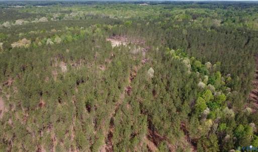 Photo #2 of Winningham Rd, Crewe, VA 75.5 acres