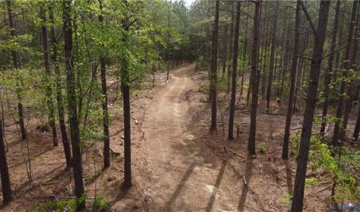 Photo #3 of Winningham Rd, Crewe, VA 75.5 acres