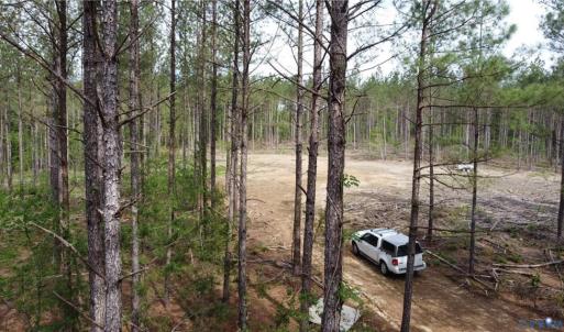 Photo #4 of Winningham Rd, Crewe, VA 75.5 acres