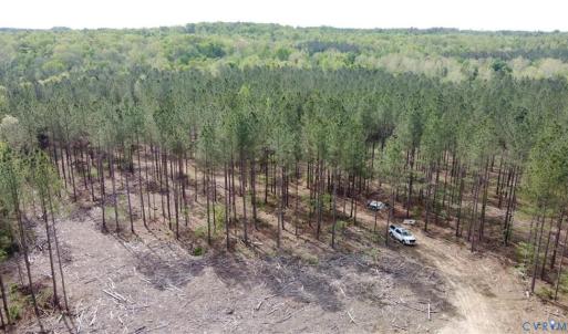 Photo #5 of Winningham Rd, Crewe, VA 75.5 acres