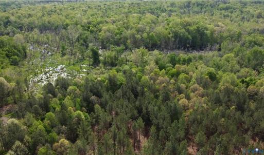 Photo #6 of Winningham Rd, Crewe, VA 75.5 acres