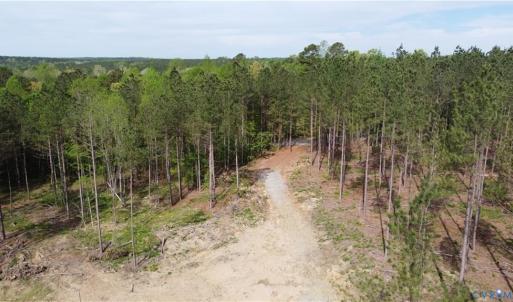 Photo #8 of Winningham Rd, Crewe, VA 75.5 acres
