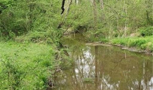 Photo #9 of Winningham Rd, Crewe, VA 75.5 acres