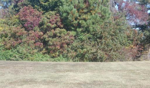 Photo #3 of 25 KINGS CT, CAPE CHARLES, VA 0.2 acres