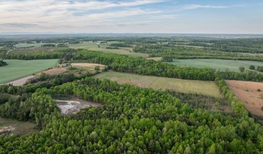 Photo #13 of 148 Mt Zion Rd, Phenix, VA 29.3 acres