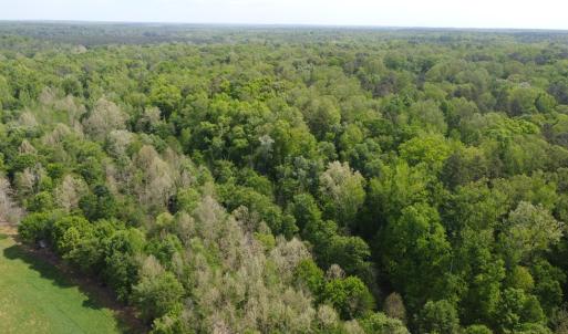Photo #10 of Namozine Rd, Amelia, VA 151.0 acres