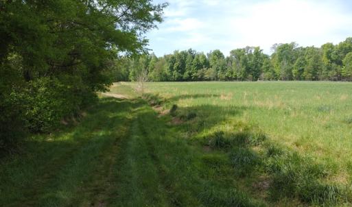 Photo #2 of Namozine Rd, Amelia, VA 151.0 acres