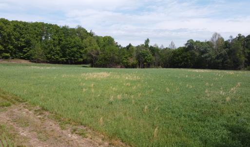 Photo #3 of Namozine Rd, Amelia, VA 151.0 acres
