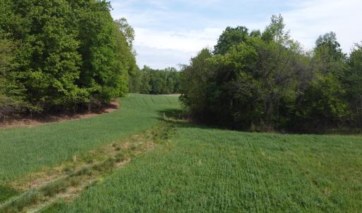 Photo #5 of Namozine Rd, Amelia, VA 151.0 acres