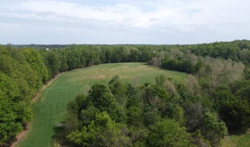 Photo #6 of Namozine Rd, Amelia, VA 151.0 acres