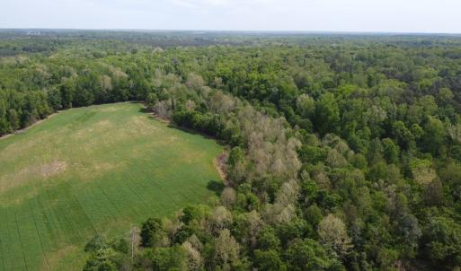 Photo #8 of Namozine Rd, Amelia, VA 151.0 acres